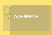 公益活动网络营销方案 