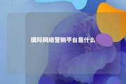 国际网络营销平台是什么 