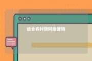 适合农村做网络营销 