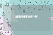 湘潭网络营销哪个好 