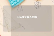 seo优化骗人的吗 