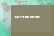 新疆企业网络营销流程 