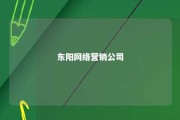 东阳网络营销公司 