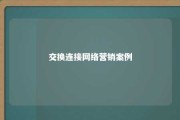 交换连接网络营销案例 