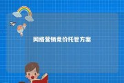 网络营销竞价托管方案 