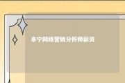 阜宁网络营销分析师薪资 