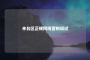 丰台区正规网络营销调试 