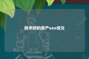 技术好的房产seo优化 