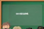 SEO优化的吗 