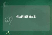 保山网络营销方案 