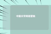 中国大学网络营销 