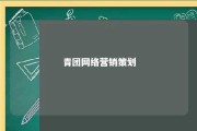 青团网络营销策划 