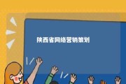 陕西省网络营销策划 