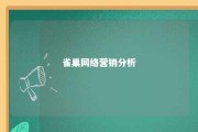 雀巢网络营销分析 