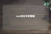 seo优化中的策略 