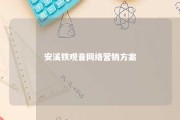 安溪铁观音网络营销方案 