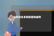 分析拼多多网络营销案例 