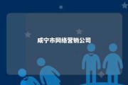 咸宁市网络营销公司 