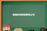 新疆好的网络营销公司 