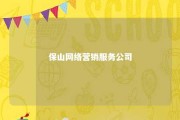 保山网络营销服务公司 