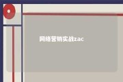 网络营销实战zac 