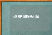 大数据网络营销模式调查 