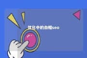 优化中的白帽seo 