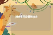 湖南省网络营销协会 