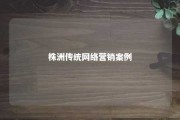 株洲传统网络营销案例 