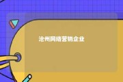 沧州网络营销企业 