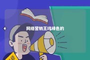 网络营销王玮绿色的 