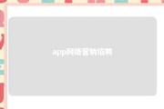 app网络营销招聘 