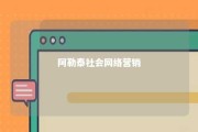 阿勒泰社会网络营销 