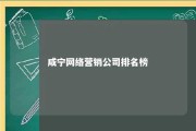 咸宁网络营销公司排名榜 