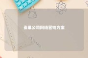 雀巢公司网络营销方案 