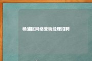 杨浦区网络营销经理招聘 