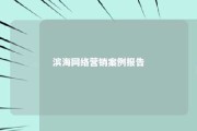 滨海网络营销案例报告 