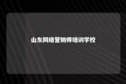 山东网络营销师培训学校 