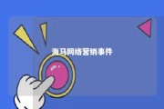 海马网络营销事件 