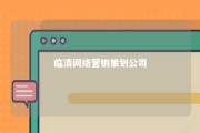 临清网络营销策划公司 