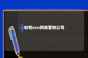 射阳seo网络营销公司 