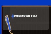 安康网络营销哪个好点 