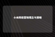 小米网络营销理念与策略 