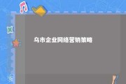 乌市企业网络营销策略 