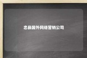 忠县国外网络营销公司 