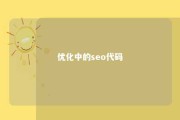 优化中的seo代码 