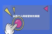 山西个人网络营销效果图 