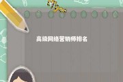 高级网络营销师排名 