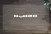 新疆app网络营销渠道 