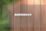 徽商网络营销分析 